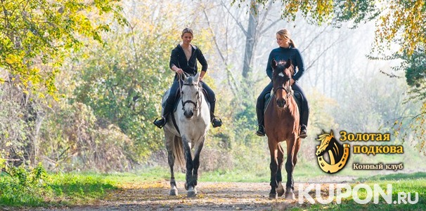 Программа «В гости к лошадкам» от конного клуба «Золотая подкова»: катание на лошади, фото с животным в фотозоне, кормление лошадей, сувенир и другое! Скидка 50%