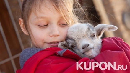 Билет для детей в контактный зоопарк «Экотерритория в мире животных» со скидкой 50%