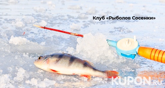Целый день рыбалки на базе «Рыболов Сосенки» в ближайшем Подмосковье со скидкой 47%