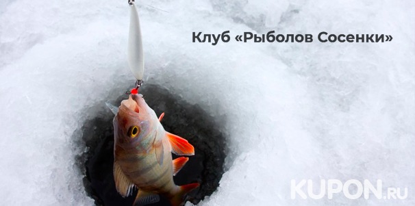 Скидка 47% на целый день рыбалки на базе «Рыболов Сосенки» в 7 км от МКАД + 4 кг выловленной рыбы!