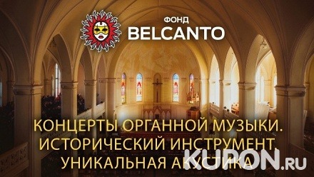 Билет на концерт органной, классической или джазовой музыки в октябре в кафедральном соборе Святых Петра и Павла от благотворительного фонда «Бельканто» (520 руб. вместо 1300 руб.)