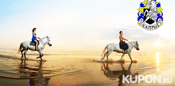 Прогулка на лошади или пони + фотосессия для одного или двоих от КСК «Каприз». Скидка до 80%