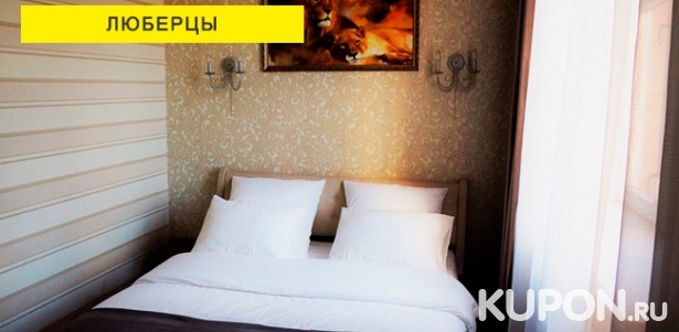 Проживание в мини-отеле «Лев» в Люберцах: уютные номер, горячие завтраки, бесплатный Wi-Fi и не только! Скидка 20%