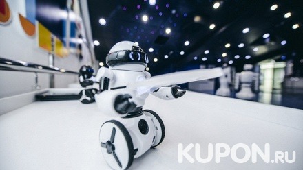 Посещение интерактивной выставки роботов «Роботека»