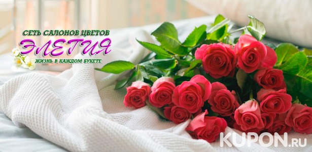 Доставка роз, гербер, хризантем и альстромерий от сети салонов цветов «Элегия». Скидка 50%