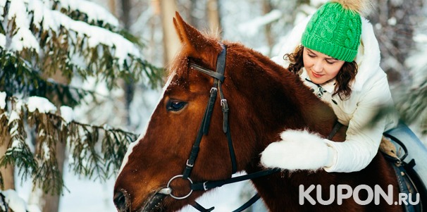 Скидка до 67% на услуги частного конного клуба «Усадьба»: конные прогулки для одного или двоих, предоставление лошади для фотосессии