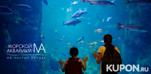 Часовая экскурсия для взрослых и детей в будни и выходные в «Морской аквариум на Чистых прудах». Скидка до 64%