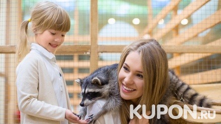 Билет для взрослого или ребенка на посещение контактного зоопарка «Джунгли зовут» со скидкой 50%