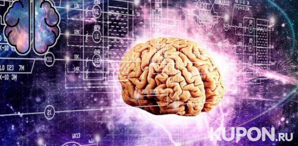 От 175 р. за билеты на интерактивную выставку «Мозг: Вселенная внутри нас»! Узнайте, как работает главная часть человеческого тела