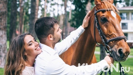 Фотосессия с лошадью, 1 или 2 часа конной прогулки, романтическая либо квест-прогулка на лошадях или путешествие на лошадях для детей от конного двора «Хутор»