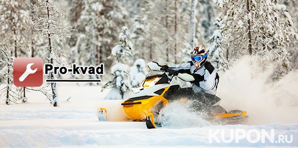 Скидка до 68% на прогулку на снегоходе с сопровождением инструктора от компании Pro-kvad: 30, 60 или 120 минут