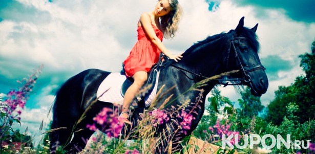 Скидка до 63% на аренду лошади для фотосессии или конные прогулки от конного двора «Космос» в Митино