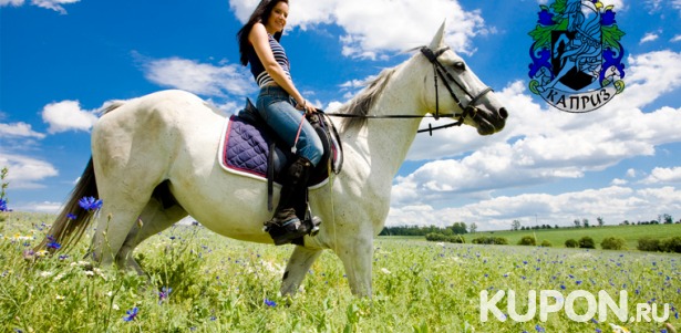 Услуги конноспортивного клуба «Каприз»: прогулка на лошади или пони, часовая конная прогулка с фотосессией. Скидка до 80%