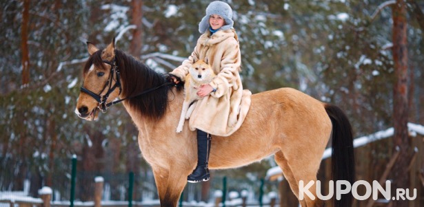 Конные прогулки в поле или в лесу, аренда лошади для фотосессии в частном конном клубе «Усадьба». Скидка до 67%