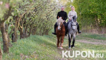Катание на лошади с фотосессией или без, конная прогулка, уроки верховой езды от конного клуба «Ипподром»