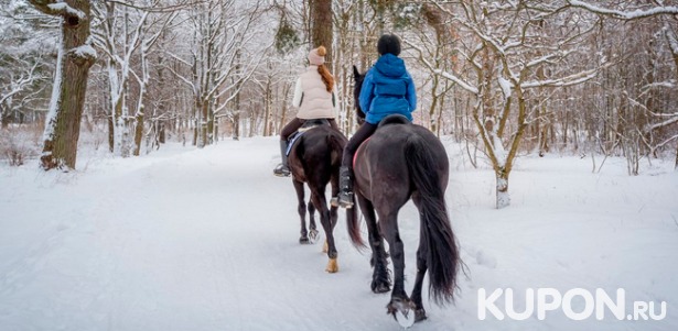Скидка до 63% на конные прогулки для взрослых и детей, а также романтические или квест-прогулки на лошадях и фотосессию с лошадьми от конного двора «Хутор»