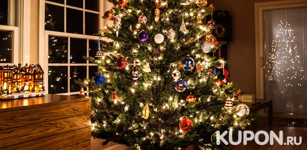 Искусственные ёлки Merry Christmas или «Сказка» в магазине Shoppingmsk. **Скидка до 75%** + светодиодная гирлянда в подарок!