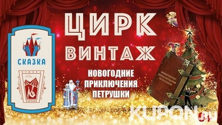 Билет на цирковое шоу «Новогодние приключения Петрушки» от цирка «Винтаж» в семейном парке «Сказка»