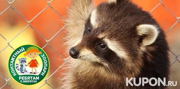 Скидка 50% на посещение контактного зоопарка «Ребятам о зверятах» в Королёве и Сергиевом Посаде