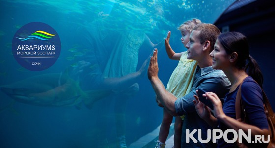 Билеты для детей и взрослых в морской зоопарк «Сочинский аквариум». Скидка 50%