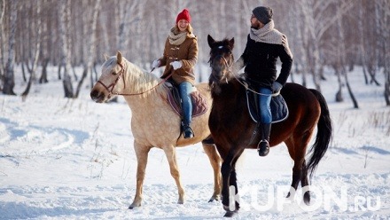 1 или 2 часа конной прогулки, романтическая либо квест-прогулка на лошадях или путешествие на лошадях для детей от конного двора «Хутор»