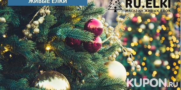 Новогодние товары от магазина живых елок Ru.Elki: живые ели и сосны, подставки и лапники! Скидка до 64%