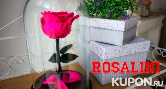 Вечная роза в красивой подарочной упаковке от центра стабилизированных роз Rosalini. Скидка до 40%