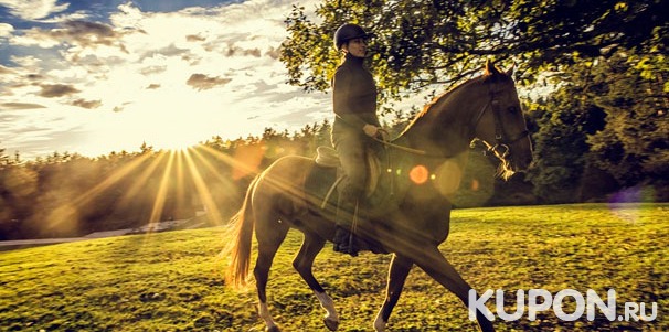 Скидка до 51% на конную прогулку с фотосессией для одного или двоих в конноспортивном клубе «Усть-Ижора»