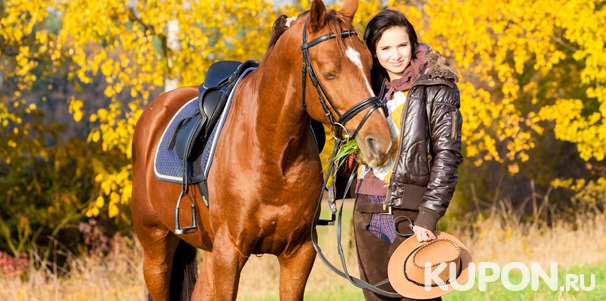 До 5 часов конной прогулки в будни и выходные, предоставление лошади для фотосессии в частном конном клубе «Усадьба» в Марфино. Скидка до 74%