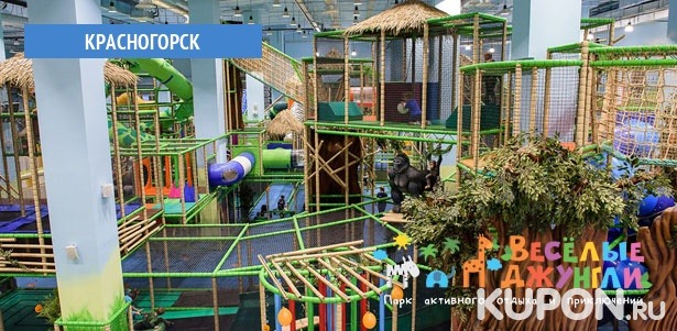 Посещение детского лабиринта или скалодрома в парке активного отдыха и приключений «Веселые джунгли». **Скидка до 40%**