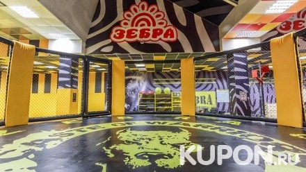 1 месяц безлимитного посещения тренировок бойцовского клуба с посещением тренажерного зала, бассейна в клубе Zebra & Caste of Warriors (2829 руб. вместо 6900 руб.)
