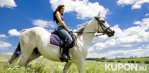 Скидка до 46% на прогулки на лошадях в лесу или поле для взрослых и детей в конном клубе «Авиньон»