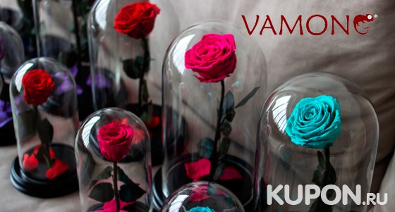 Неувядающая роза в колбе из сказки «Красавица и чудовище» от интернет-магазина Vamong со скидкой 28%