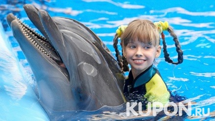 Плавание с дельфинами для взрослого, ребенка или всей семьи в «Лазаревском дельфинарии»