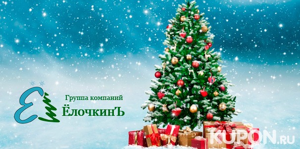 Скидка до 20% на искусственные новогодние ели от группы компаний «Ёлочкинъ»: 120, 150 или 180 см!