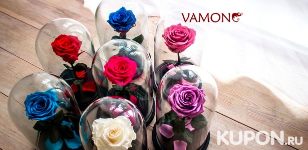 Вечная роза в колбе из сказки «Красавица и Чудовище» с гравировкой или красочной открыткой от компании Vamong. Скидка до 40%
