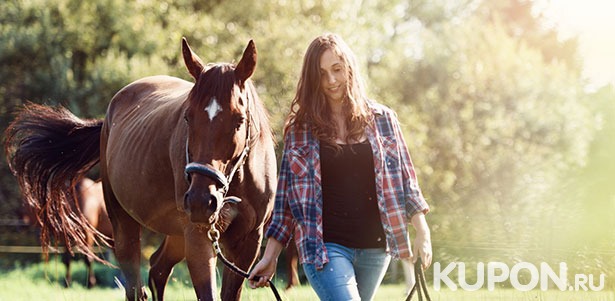 Катание на лошадях для детей и взрослых, а также романтическая прогулка в карете от конного двора «Пчелка». **Скидка до 74%**