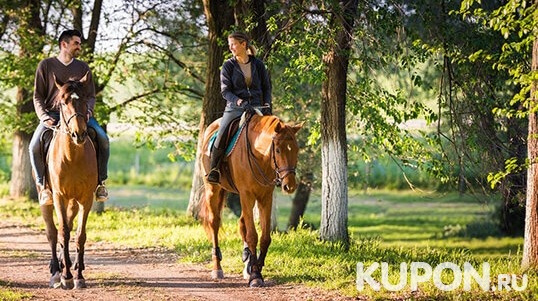 Скидка 61% на романтическую прогулку на лошадях для двоих по великолепным местам Подмосковья от компании «Авиньон»