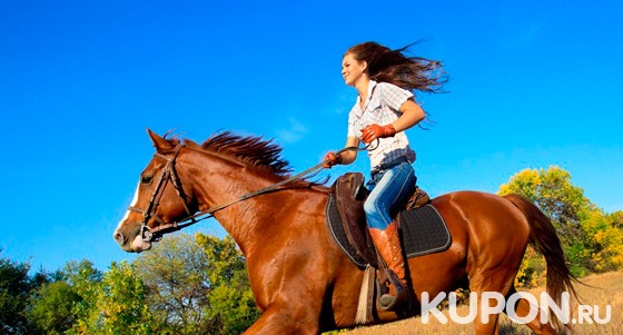 Катание на пони или лошадях, романтическое свидание на конном ранчо, фотосессия или прогулки в экипаже в конноспортивном клубе «Гвардия». Скидка до 77%