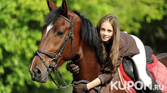 Скидка до 67% на конные прогулки для одного или двоих, предоставление лошади для фотосессии в конном клубе «Усадьба»!