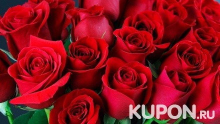 До 101 розы, кустовые розы, букет из синих роз или цветы в фирменной упаковке на выбор от компании Flowers For You