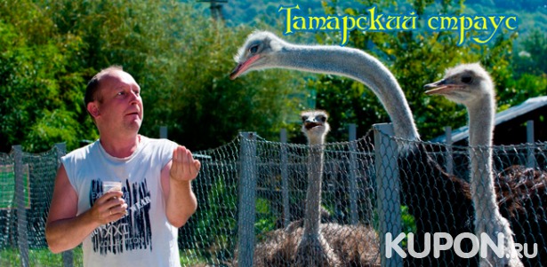 Экскурсия по страусиной ферме с посещением контактного зоопарка + кормление животных от туристического комплекса «Татарский страус». Скидка 56%