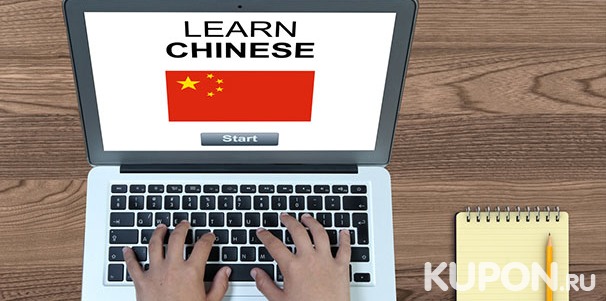1 или 12 месяцев онлайн-обучения китайскому, испанскому и английскому языку, а также подготовке к ОГЭ и ЕГЭ от «Студии Шаматовой Екатерины». Скидка до 83%