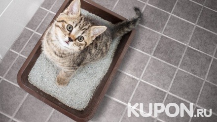 Бионаполнитель для кошачьего туалета «Mr. Подсолнух»