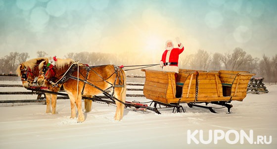 Скидка 50% на детскую конную прогулку в сопровождении Деда Мороза от конного двора «Космос» в Митино
