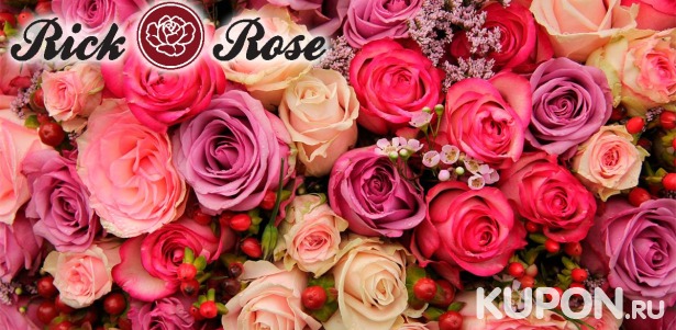 Скидки до 75% на букеты из роз + упаковка и доставка в подарок* От 50  р. за розу «Стандарт» и «Премиум» из Эквадора от сервиса доставки цветов «Рикроуз.рф»