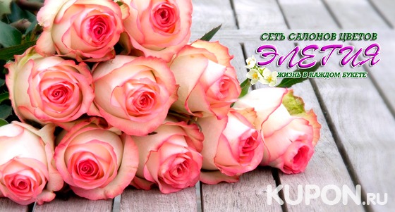 Скидка 50% на букеты роз, гербер, хризантем и альстромерий от сети салонов цветов «Элегия»