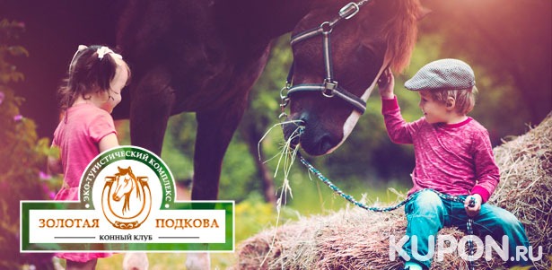 Программа «В гости к лошадкам» в конном клубе «Золотая подкова»: знакомство с лошадьми, экскурсия, инструктаж и не только. **Скидка 50%**
