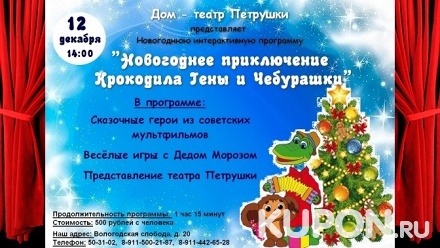 Новогодняя детская интерактивная программа в «Доме-театре Петрушки»