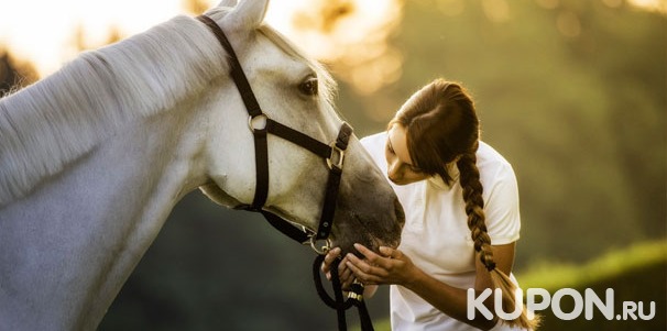 Отдых в конном клубе «Усадьба» в Марфино: фотосессия с лошадью + конные прогулки в поле или лесу. Скидка до 68%